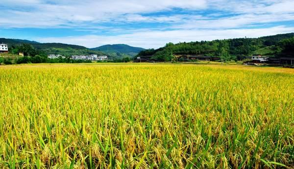 1608948496888671.png 微信圖片_20201226100515.png